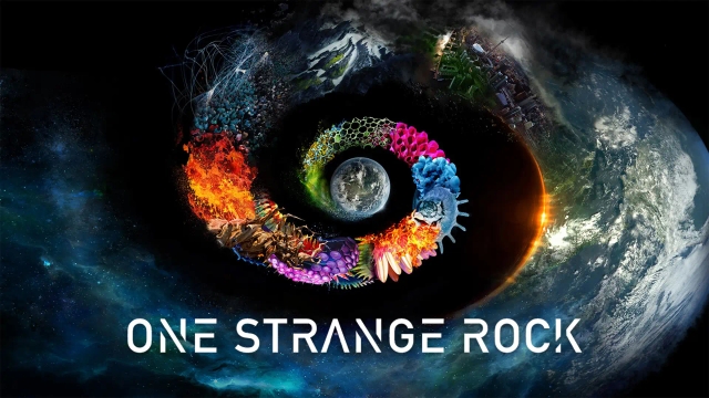 یک سنگ عجیب