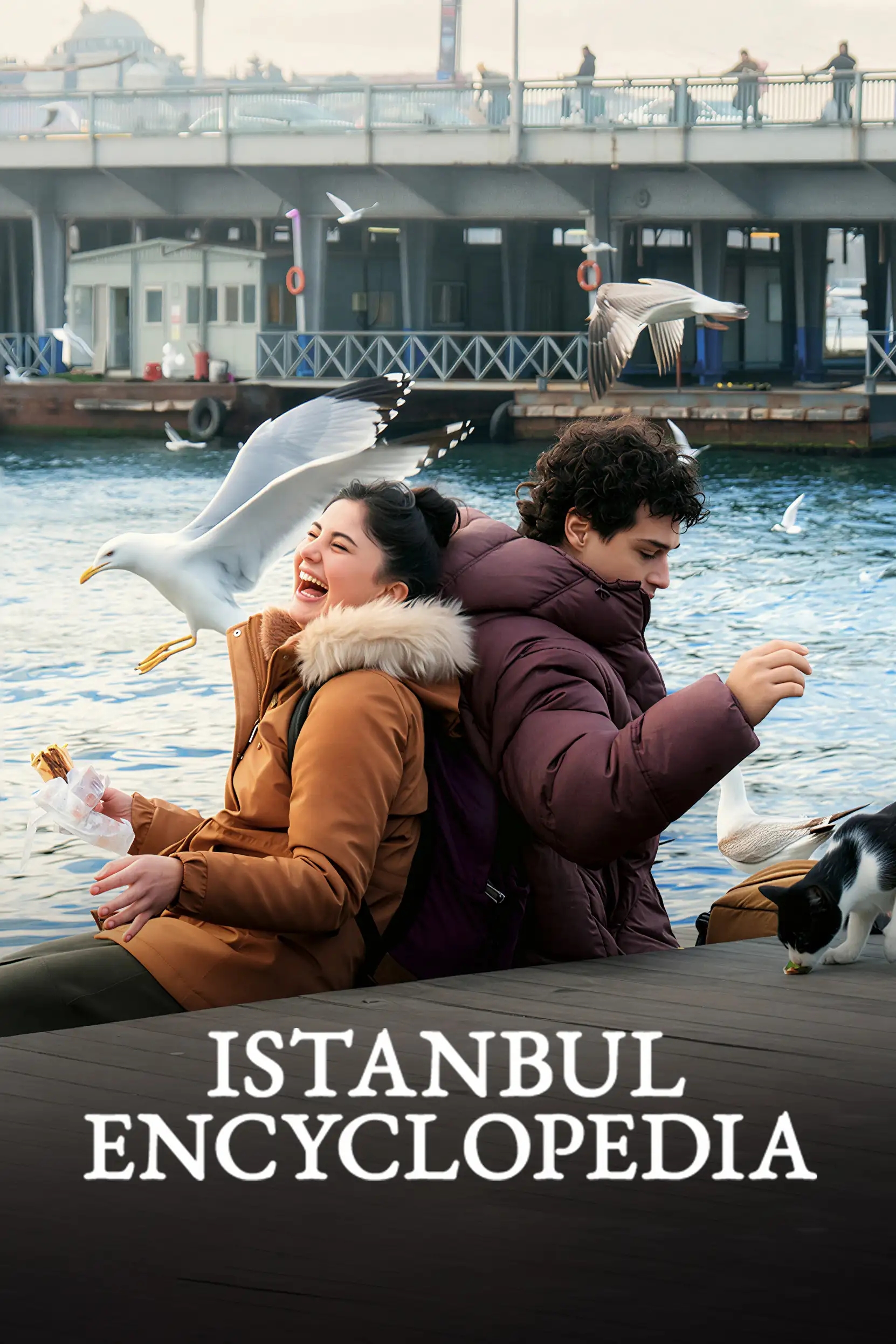 دایره المعارف استانبول