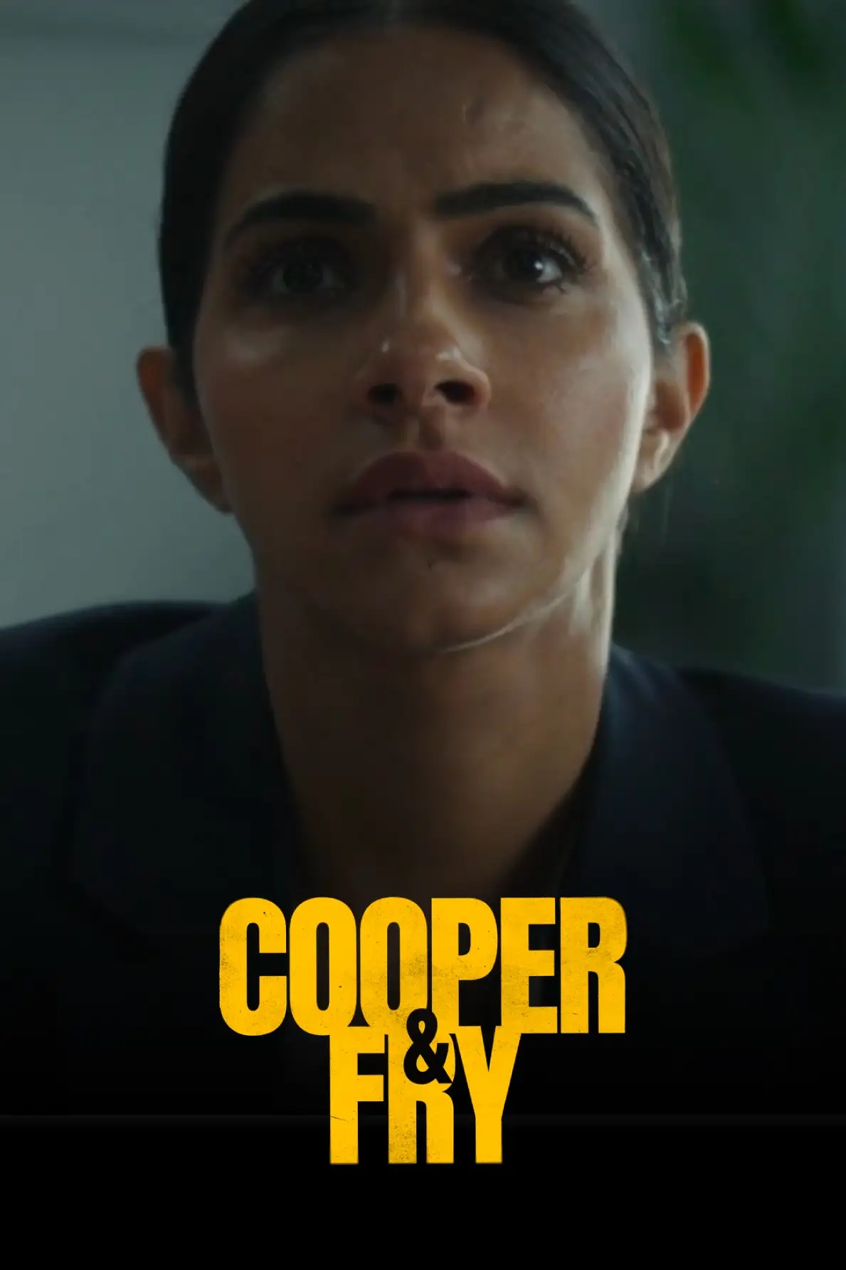 کوپر و فرای (فصل 1 قسمت 3)
