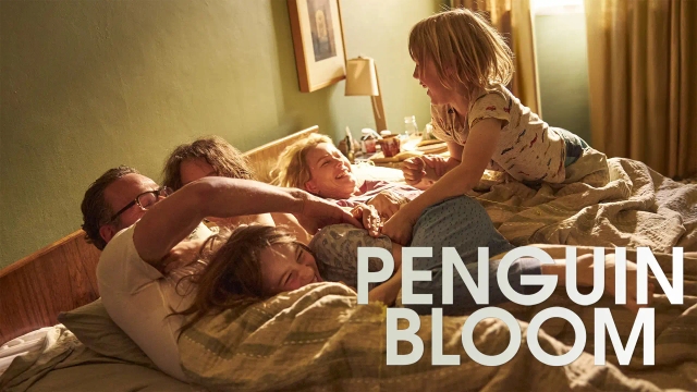 پنگوئن بلوم